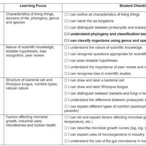 6th Year Study Plan 2026/2027